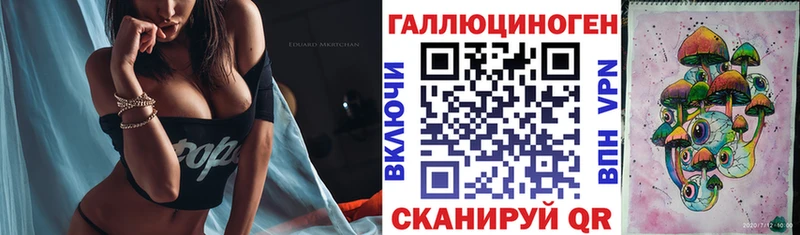 mega как зайти  Волоколамск  Псилоцибиновые грибы Psilocybe 